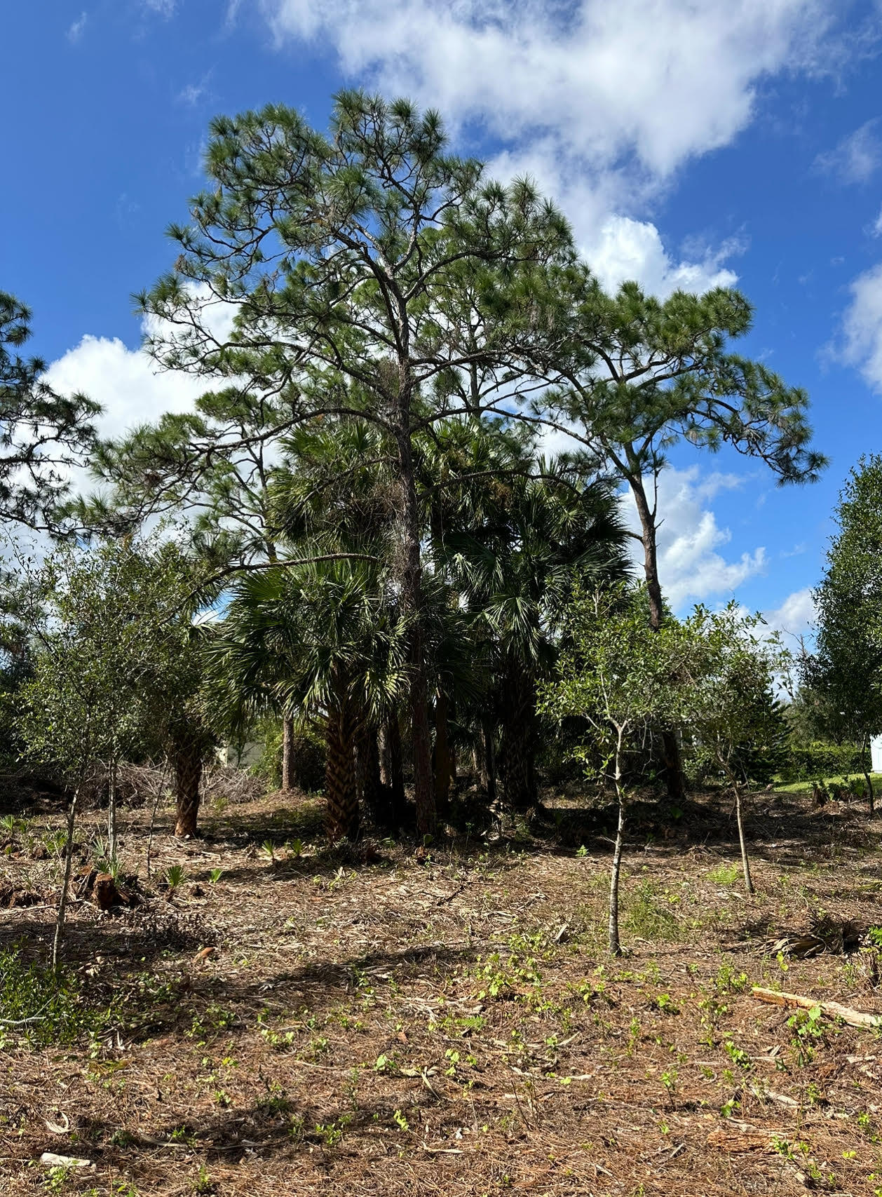 En Venta 9125 106TH Avenue, Vero Beach, FL 32967, Vero Beach, FL 32967