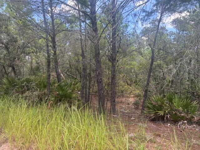 En Venta 0 Us Hwy 27, Lake Wales, FL 33859, Lake Wales, FL 33859