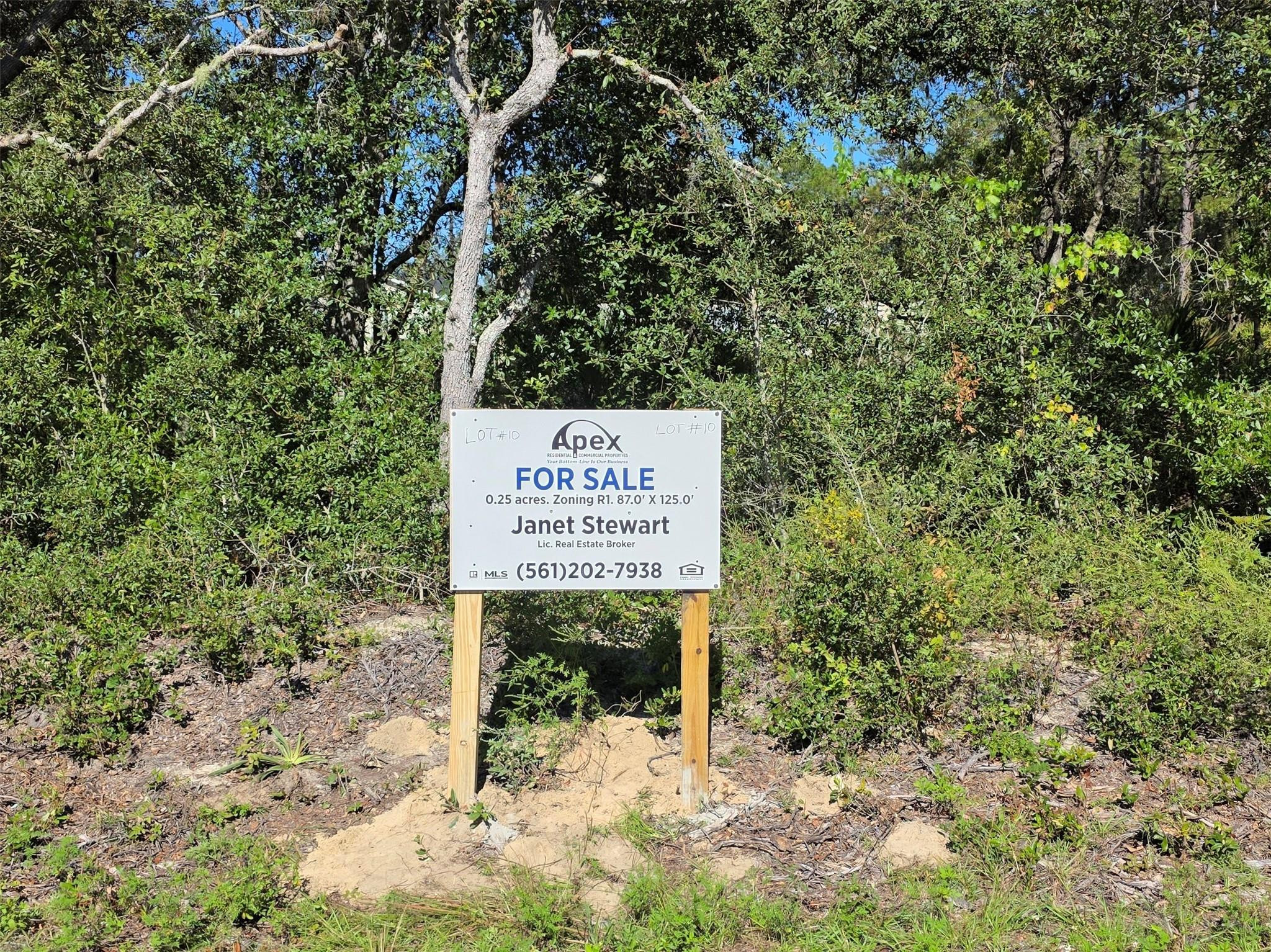En Venta Lot 10 Malauka Circle, Ocklawaha, FL 32179, Ocklawaha, FL 32179