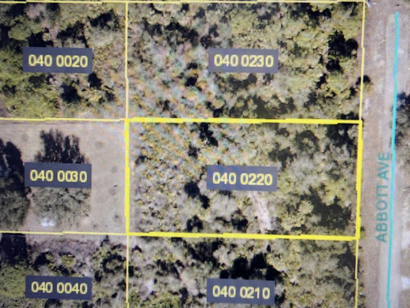 En Venta 2319 ABBOTT Avenue, Alva, FL 33920, Alva, FL 33920