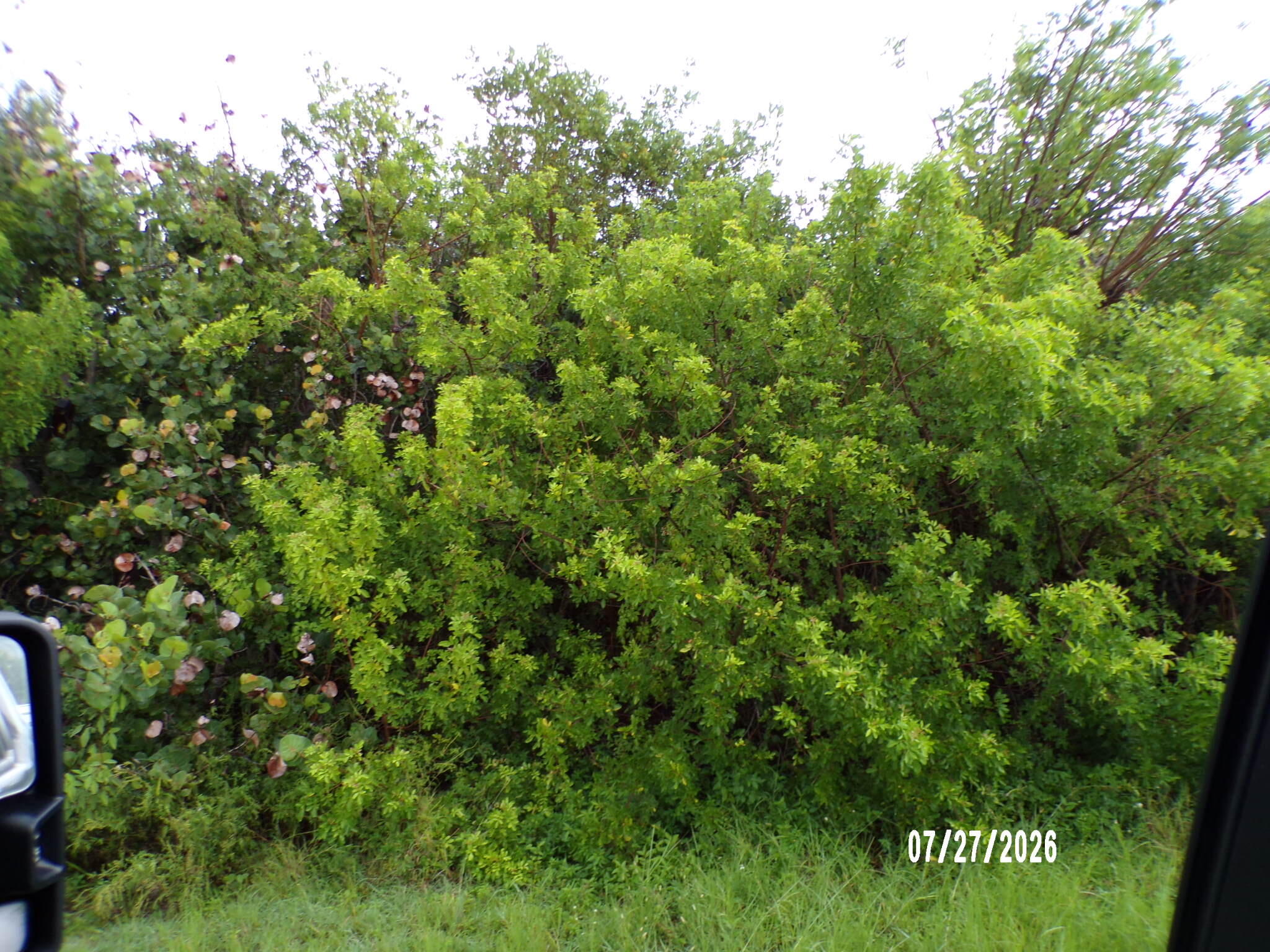 En Venta 5306 Silver Oak Drive, Fort Pierce, FL 34982, Fort Pierce, FL 34982