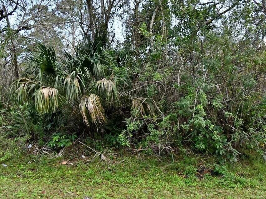 En Venta 2120 SCOTT Avenue, Alva, FL 33920, Alva, FL 33920
