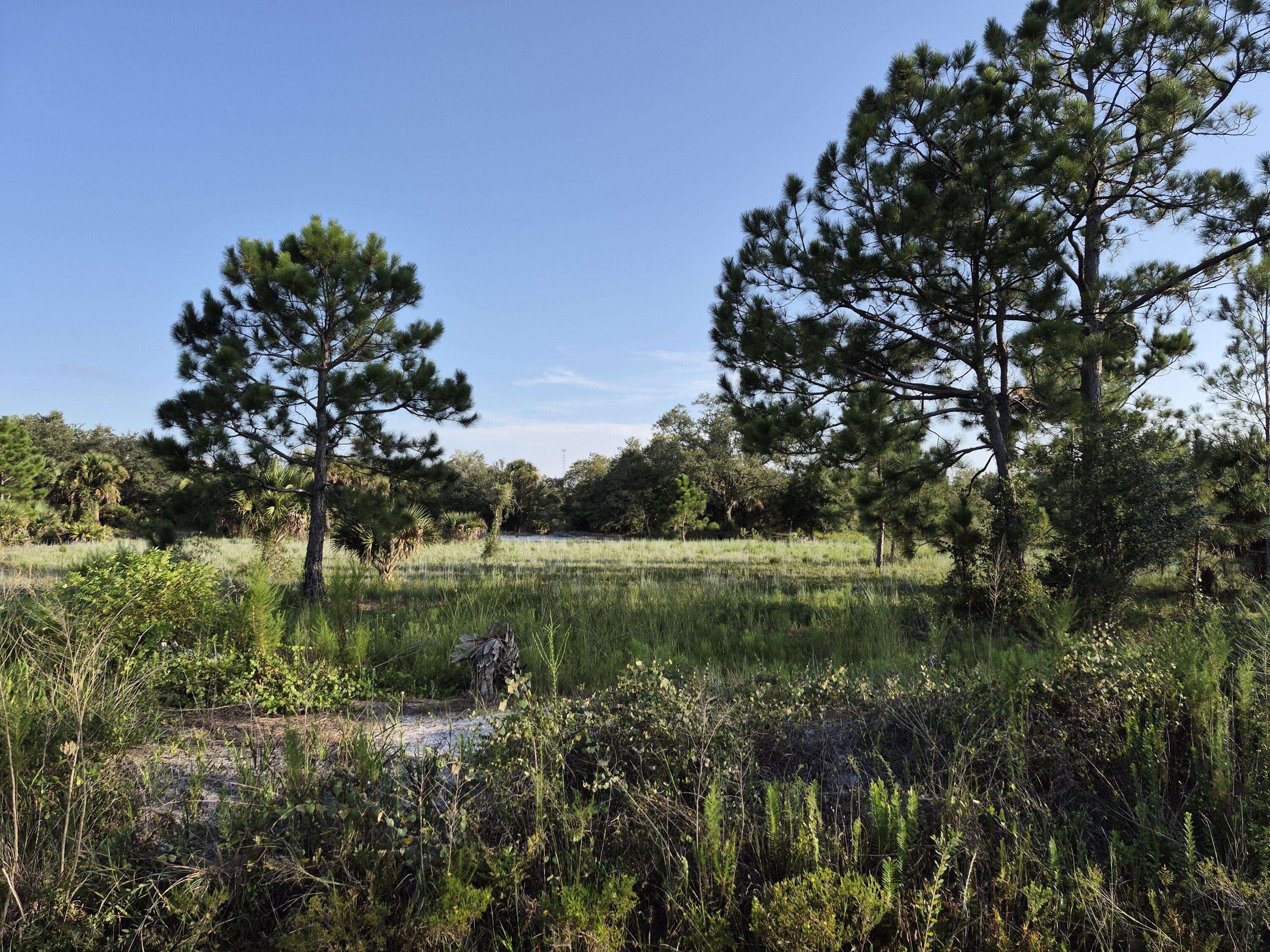 En Venta 16810 NW 292ND Street, Okeechobee, FL 34972, Okeechobee, FL 34972
