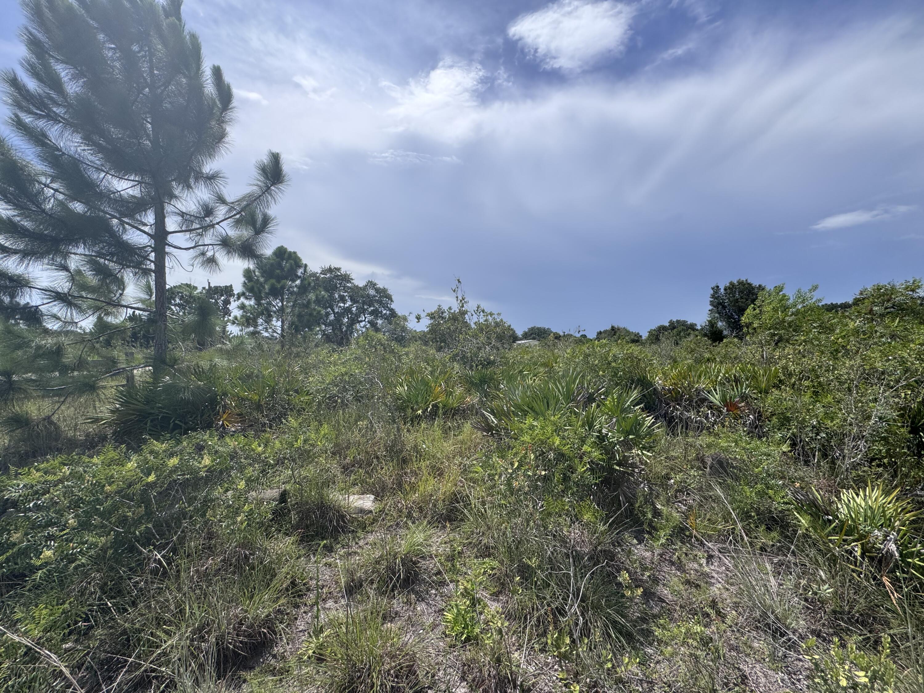 Expansive natural landscape featuring native vegetation and mature trees