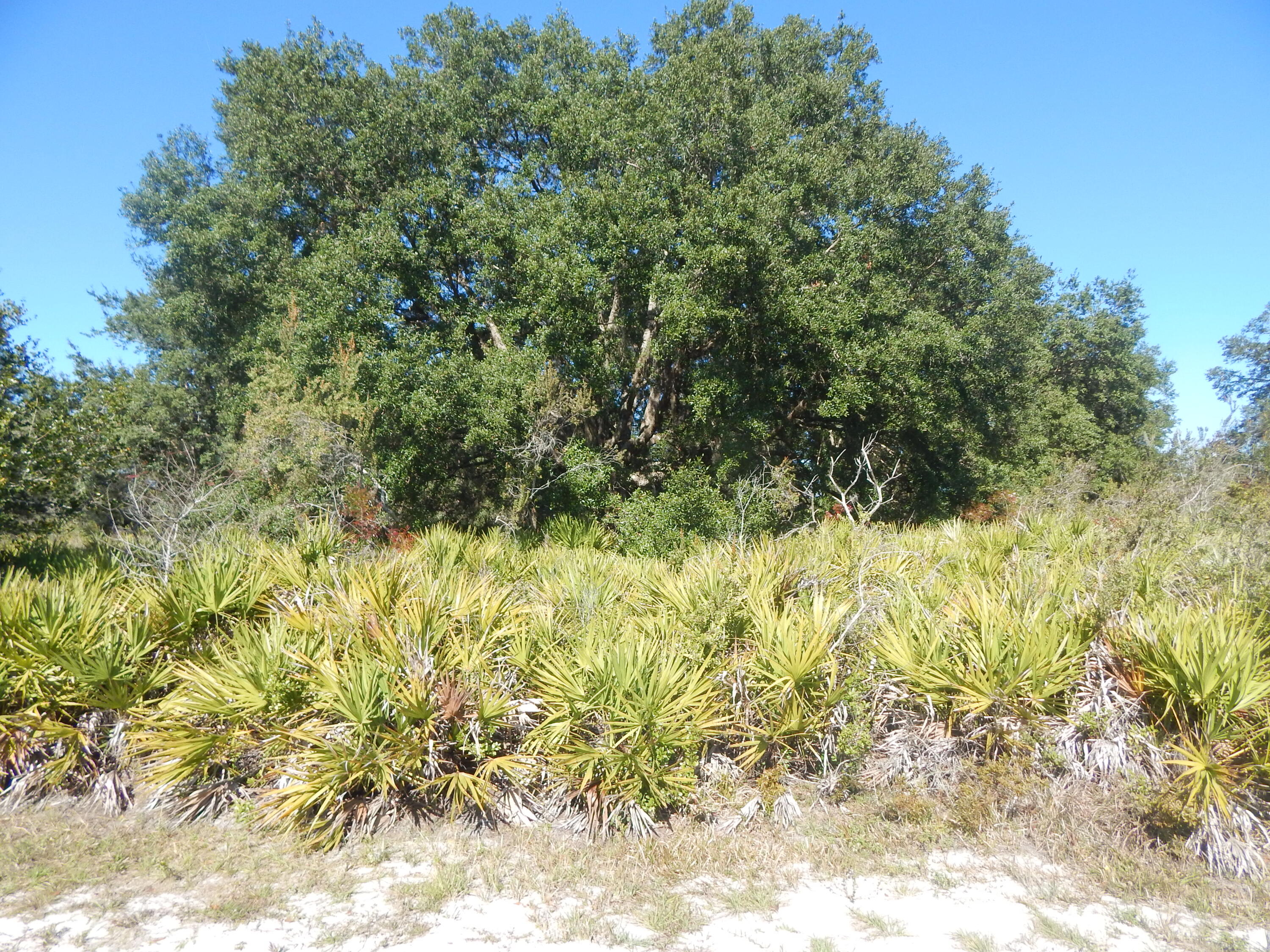 En Venta 0 PARK Avenue, Indian Lake Estates, FL 33855, Indian Lake Estates, FL 33855