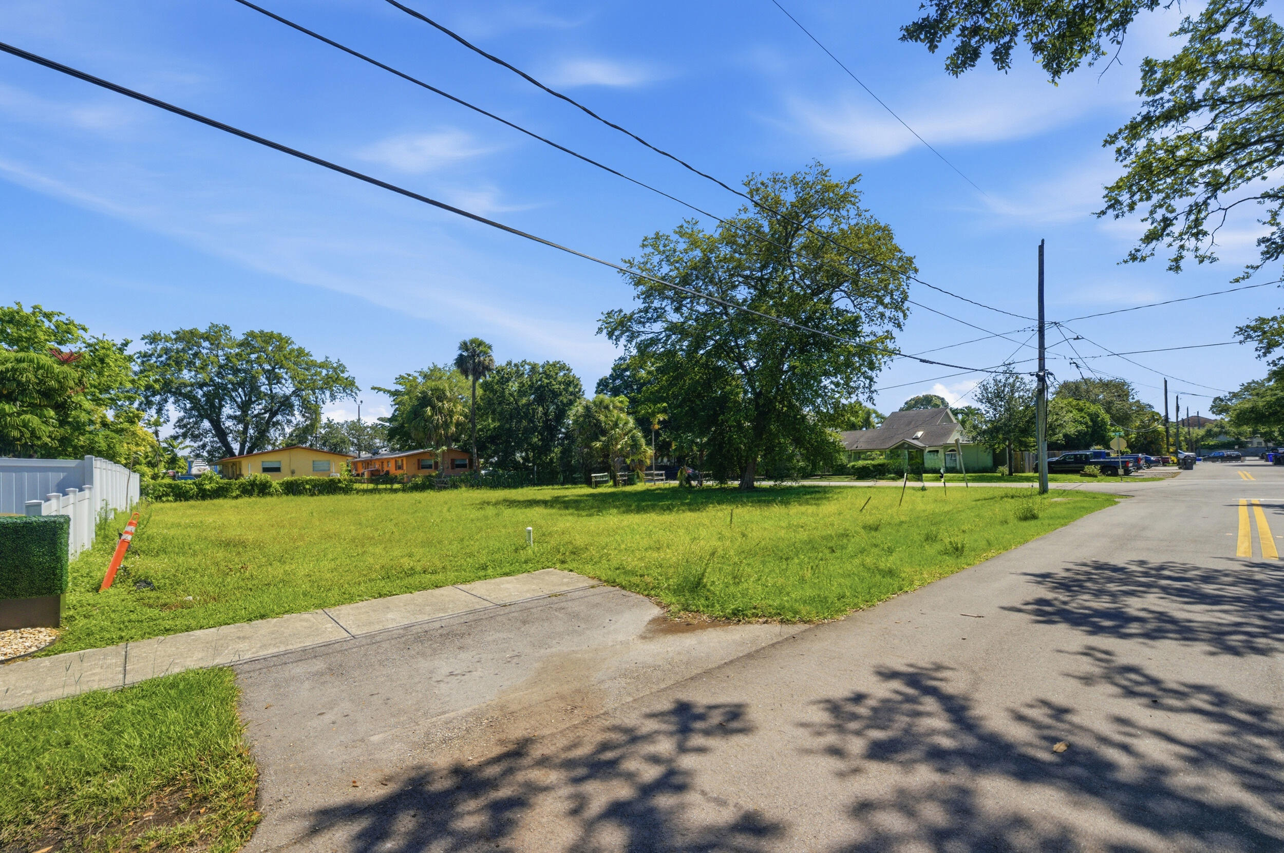 Expansive lot featuring a large grassy area, a mature tree, and a paved street
