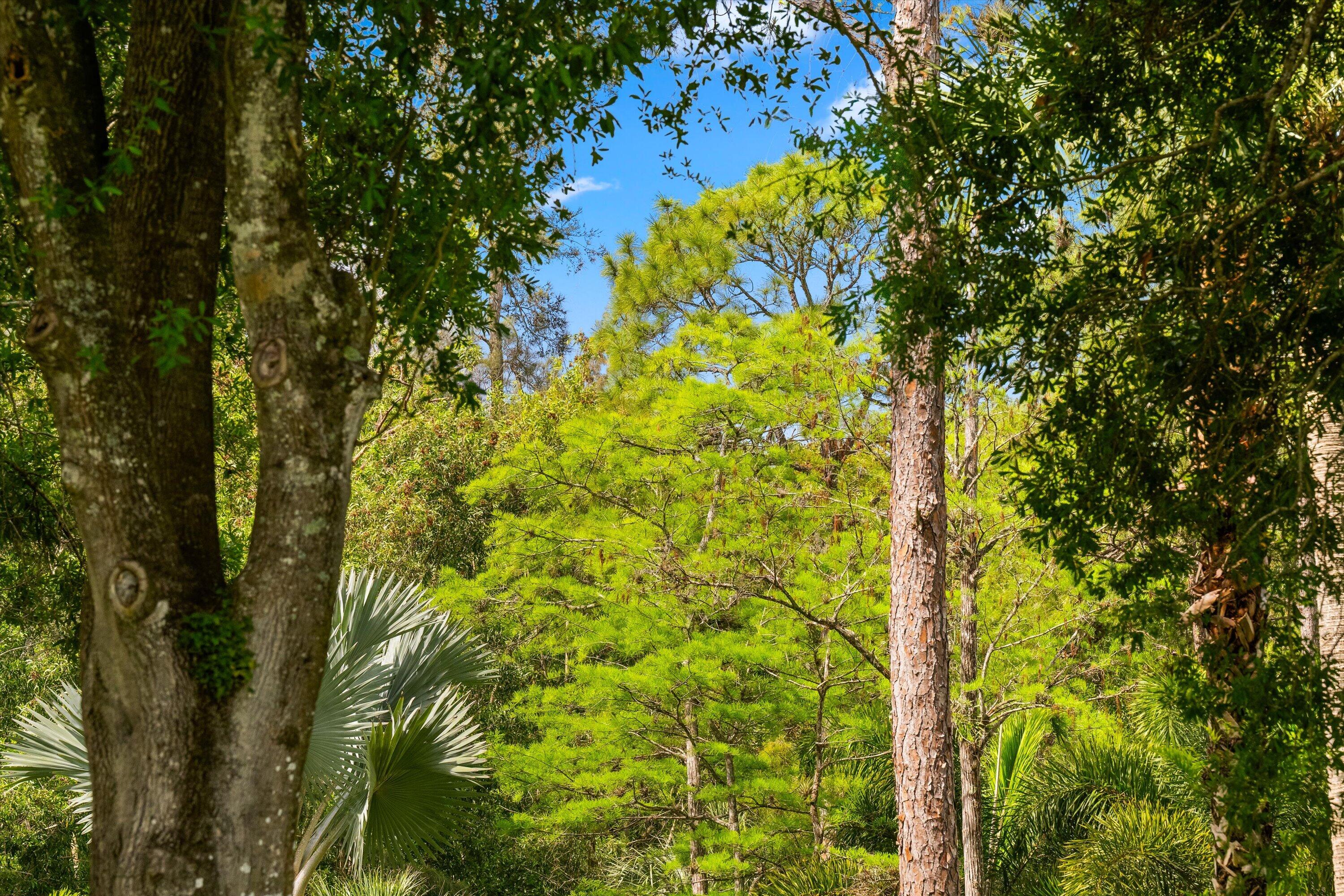 En Venta Tbd F Road, Loxahatchee Groves, FL 33470, Loxahatchee Groves, FL 33470