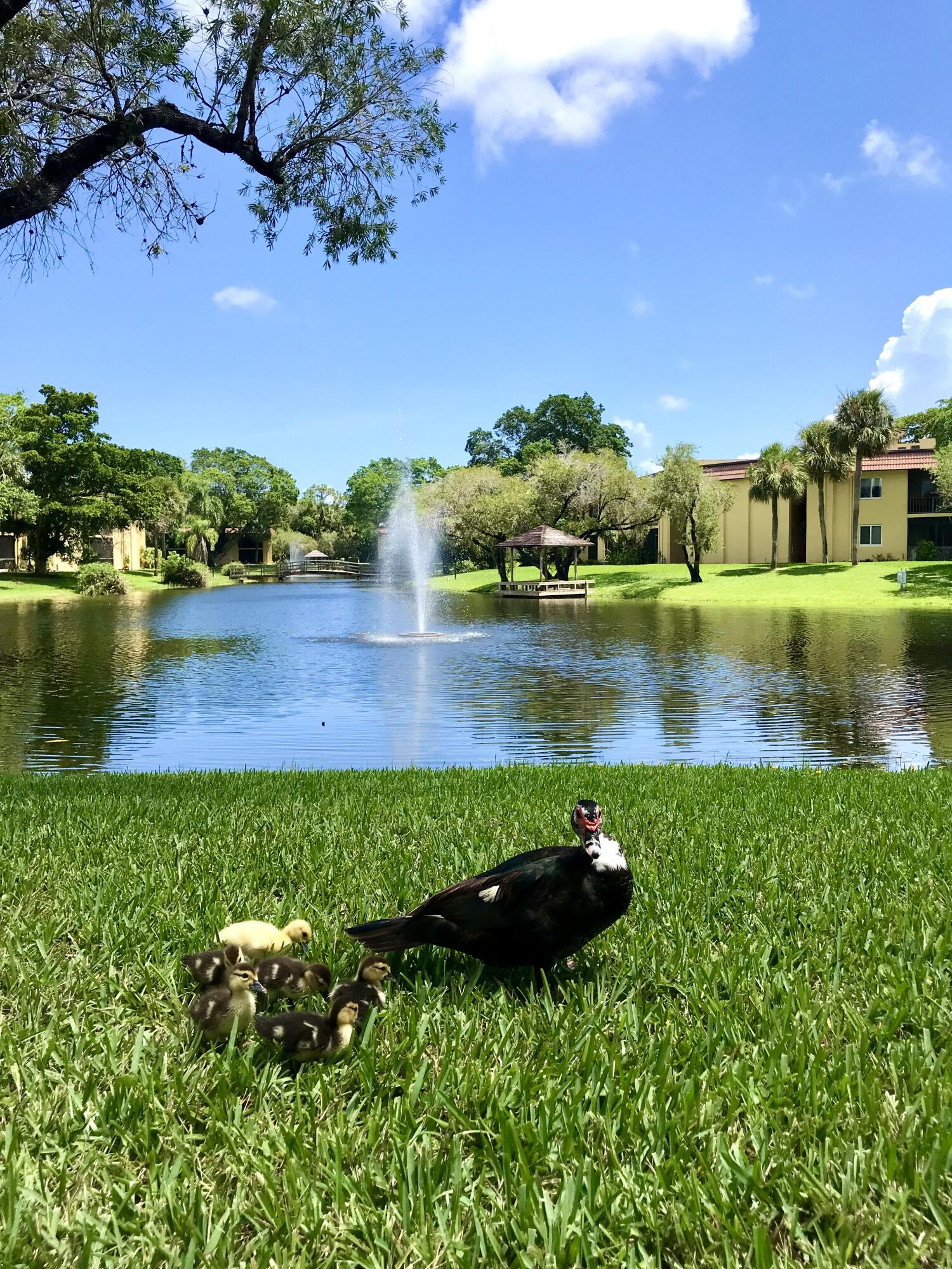 Foto de propiedad en 830 SW 9th Street Circle APT 201, Boca Raton, FL 33486 Boca Raton con MLS# 