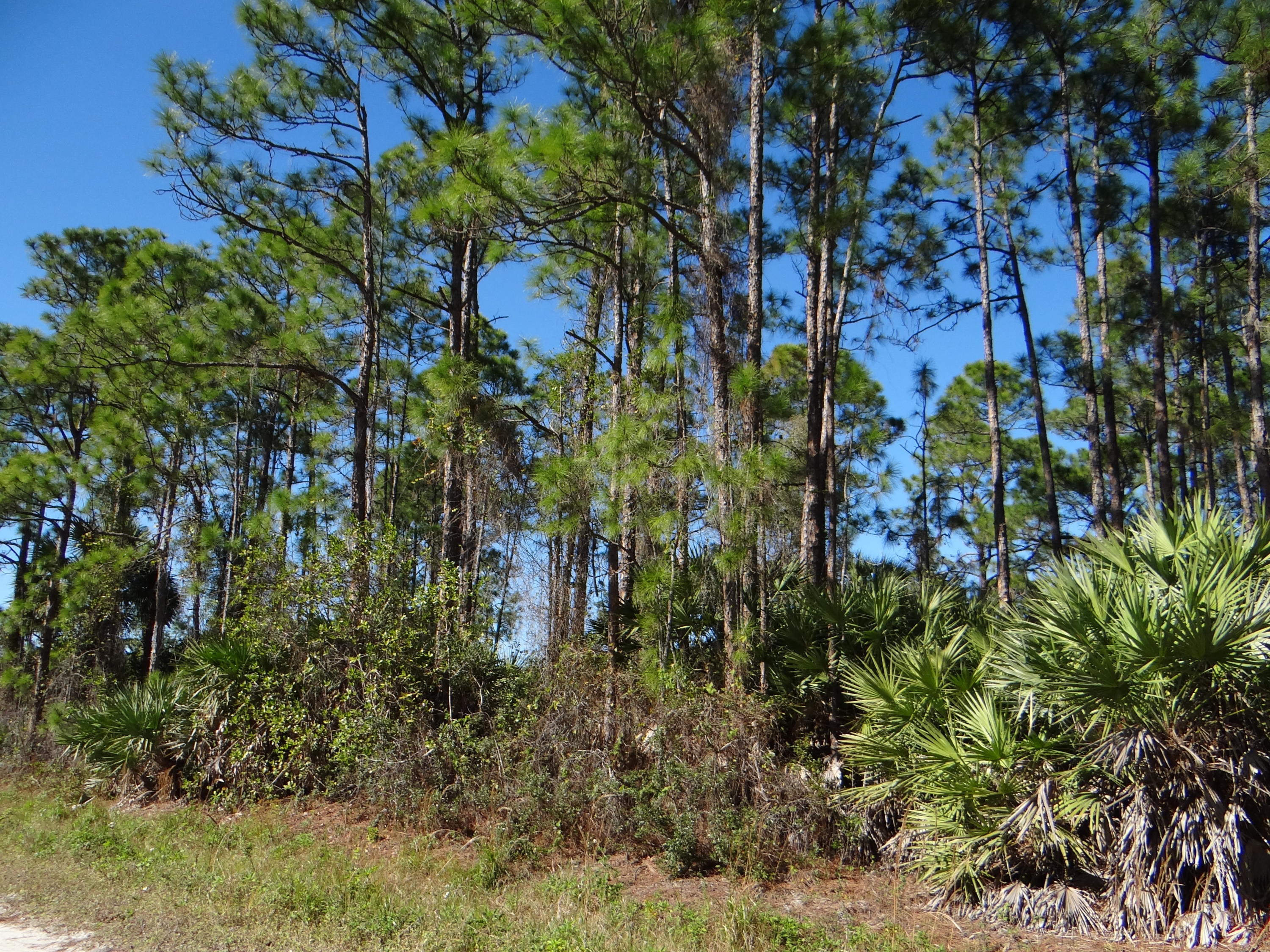 Foto de propiedad en L-28 N 67 Court N, The Acreage, FL 33470 The Acreage con MLS# 