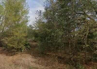 En Venta Tba Lenore Avenue, Interlachen, FL 32148, Interlachen, FL 32148
