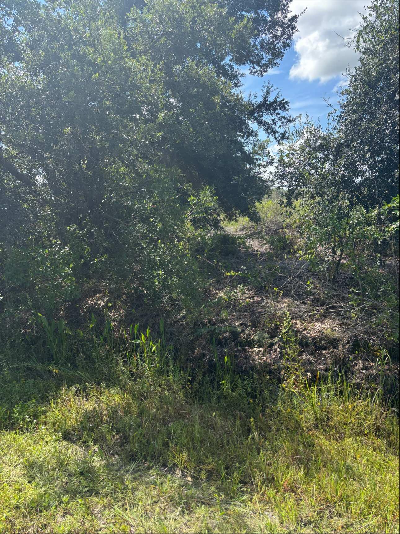 Foto de propiedad en 16014 NW 282ND Street, Okeechobee, FL 34972 Okeechobee con MLS# 