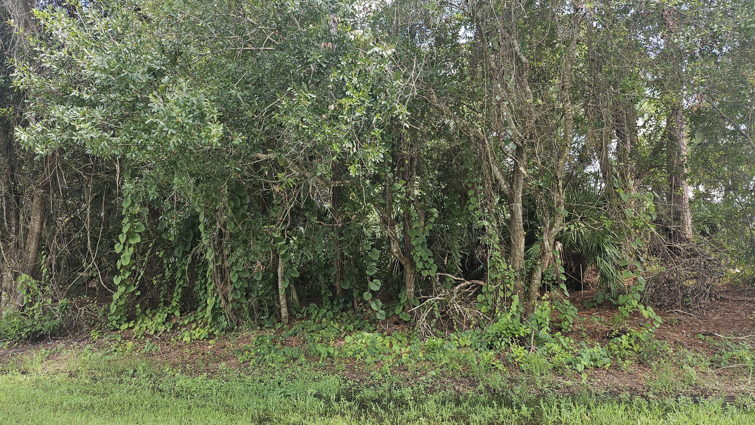 En Venta 1757 SW Day Street, Port St. Lucie, FL 34953, Port St. Lucie, FL 34953