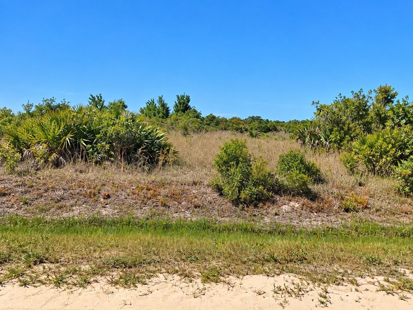 En Venta 14516 NW 280TH Street, Okeechobee, FL 34972, Okeechobee, FL 34972