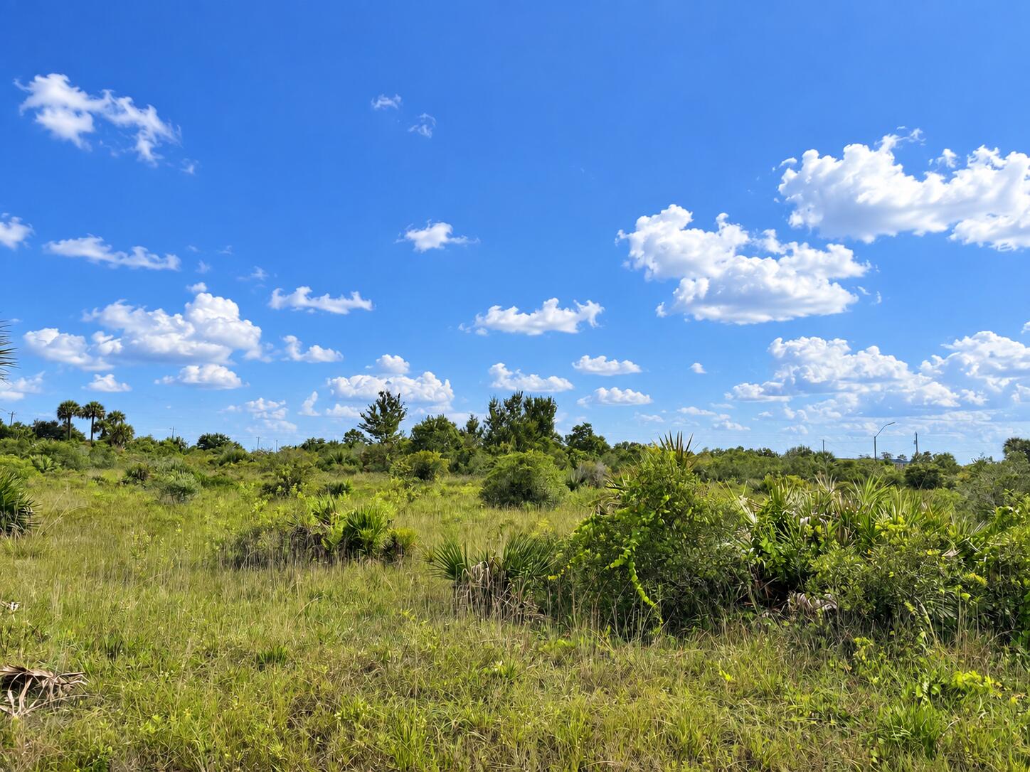 Foto de propiedad en 14516 NW 280TH Street, Okeechobee, FL 34972 Okeechobee con MLS# 