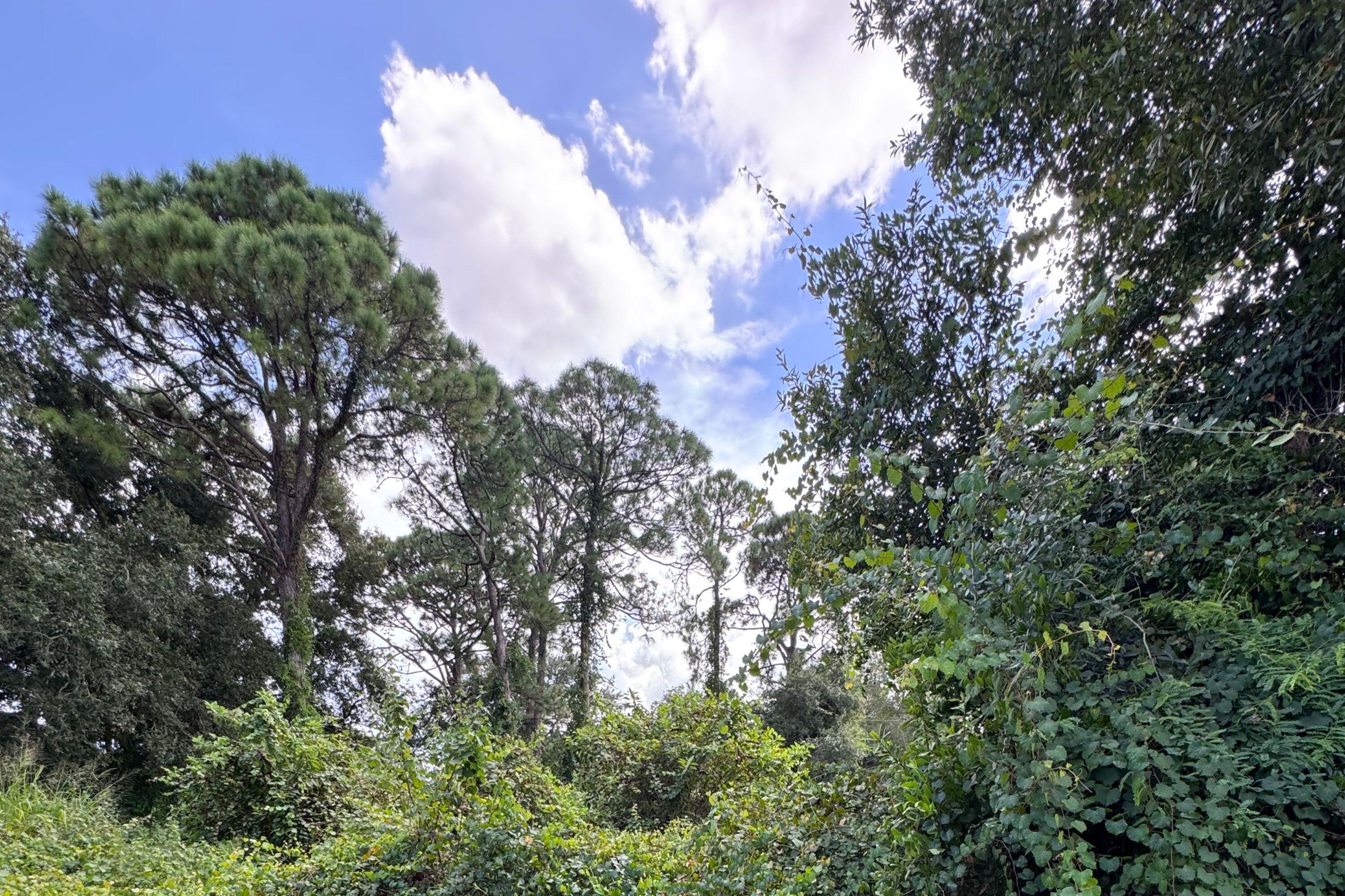 En Venta 6801 Deland Avenue, Fort Pierce, FL 34951, Fort Pierce, FL 34951