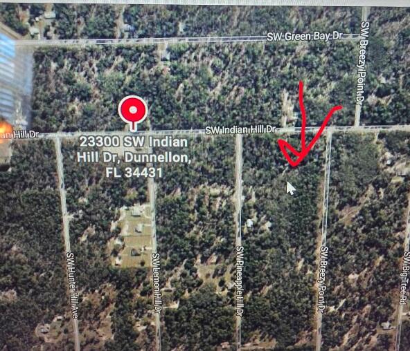 En Venta 0 SW Indian Hill Drive, Dunnellon, FL 34431, Dunnellon, FL 34431