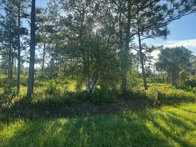 En Venta 0 N Hwy 441, Okeechobee, FL 34972, Okeechobee, FL 34972
