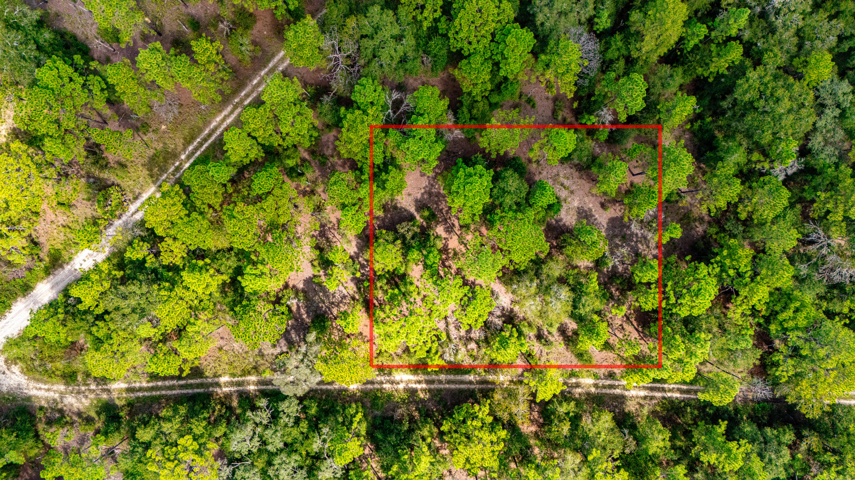 En Venta 15515 SW 25th Place, Ocala, FL 34481, Ocala, FL 34481