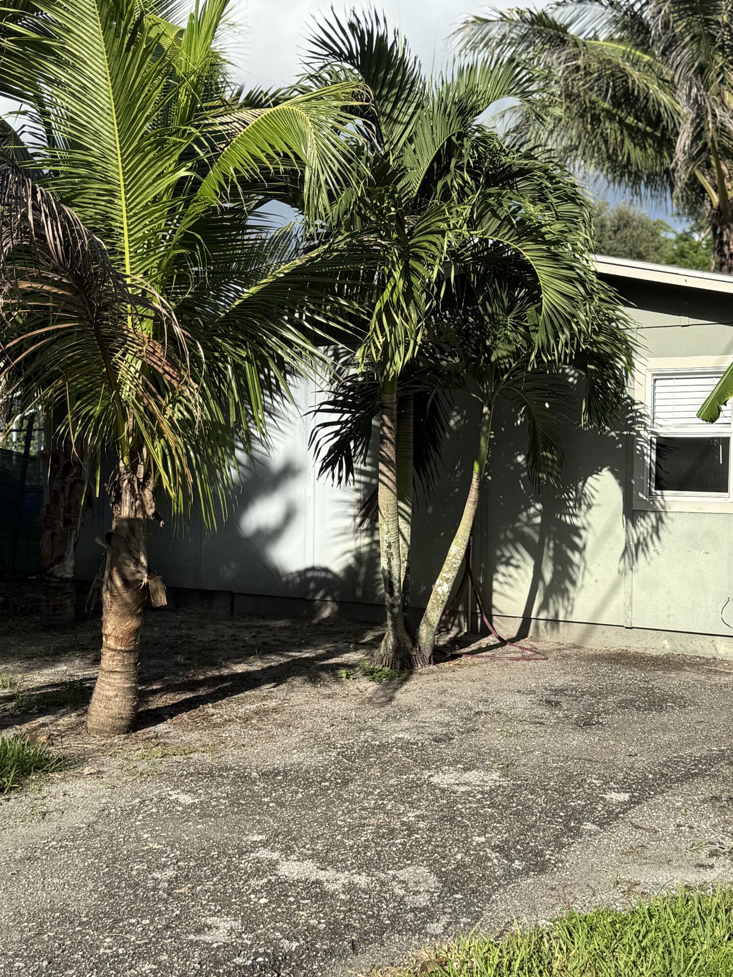 En Renta 151 Valencia Drive, Loxahatchee, FL 33470, Loxahatchee, FL 33470