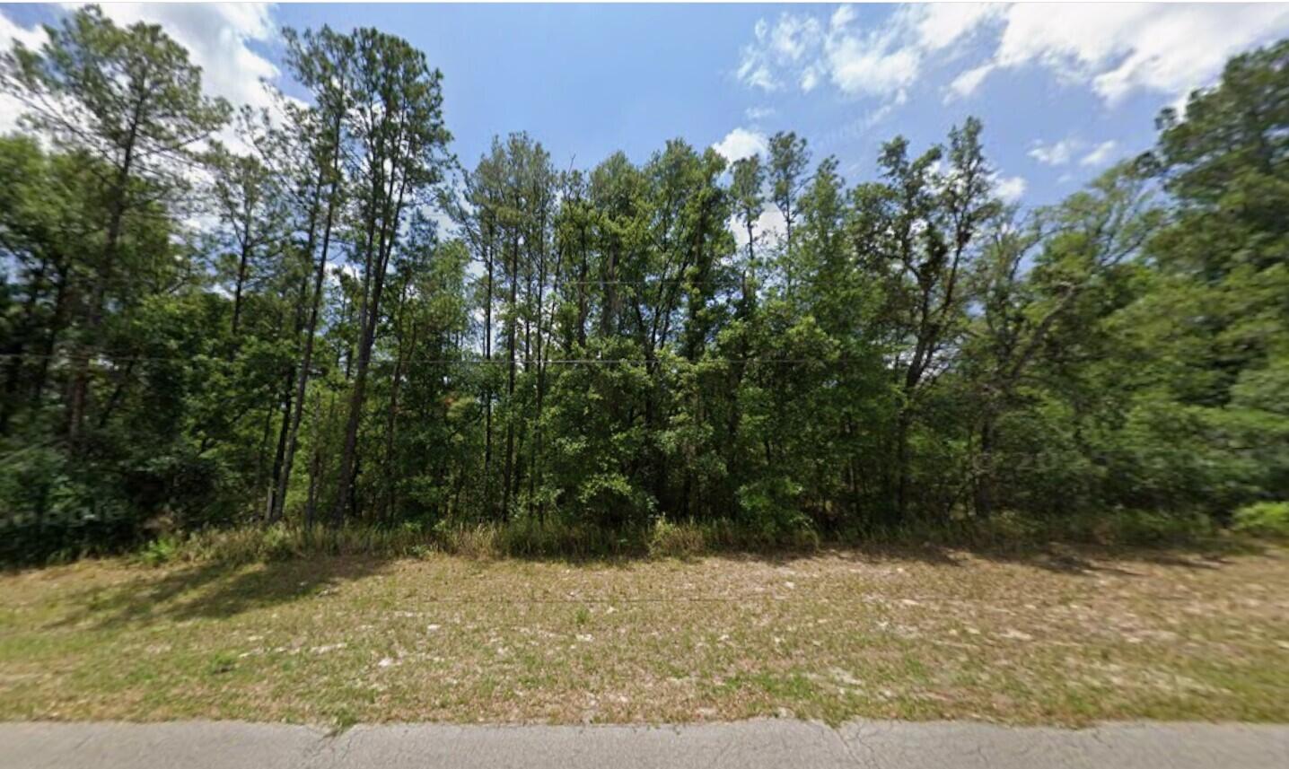 En Venta Tbd 128TH Loop, Ocala, FL 34473, Ocala, FL 34473