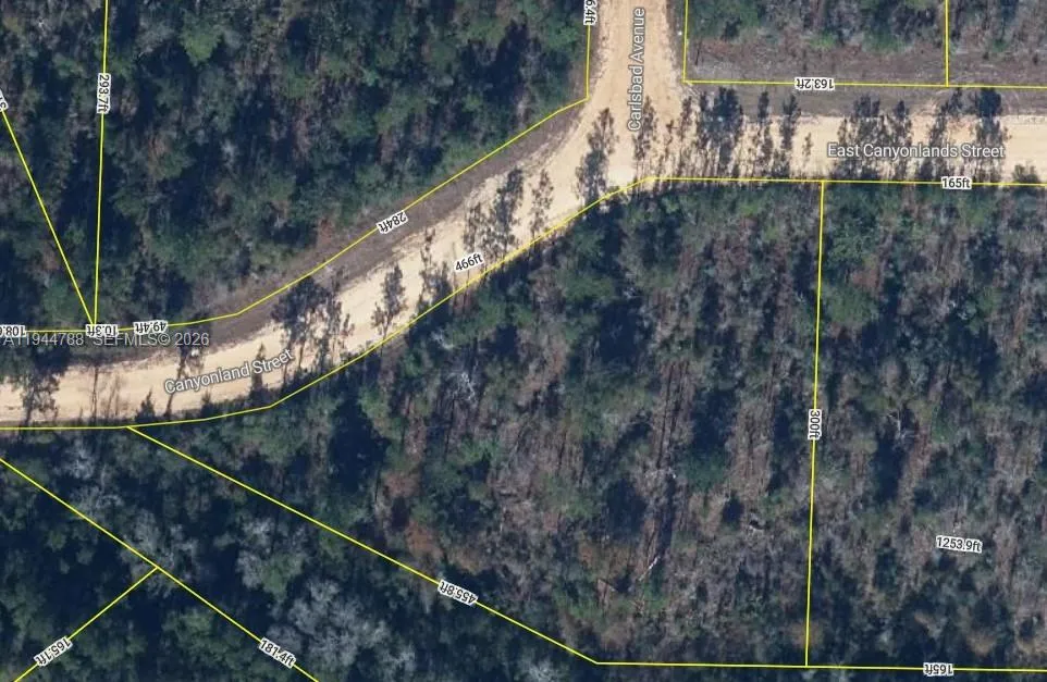 Foto de propiedad en Canyonland Street Canyonland Street East Canyonlands Street, FL 32420  con MLS# 