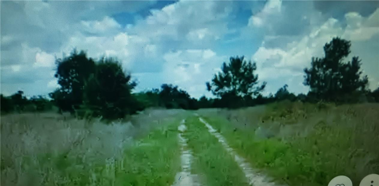 En Venta Lot D6 Palm Circle, GA 32008, Georgia 32008