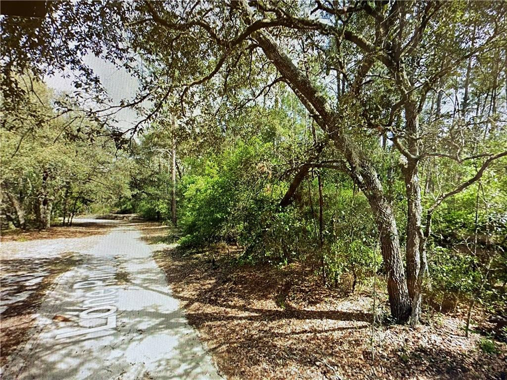 Foto de propiedad en 0000 Lone Pine Trail, FL 32666  con MLS# 