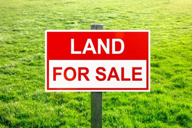 En Venta 3102 Concord Avenue, Lake Placid, FL 33852, Lake Placid, FL 33852