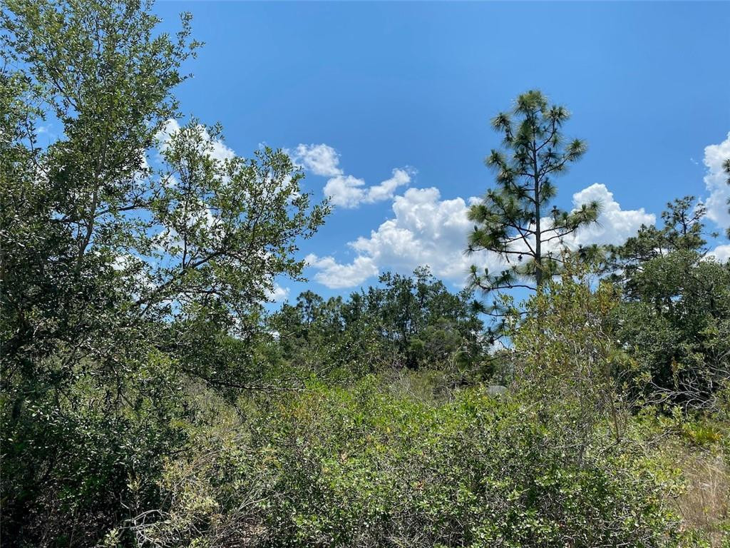 En Venta Lot 24 Indian Lake Drive, Indian Lake Estates, FL 33855, Indian Lake Estates, FL 33855