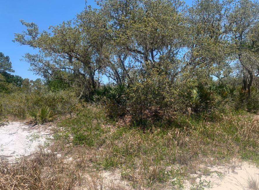 En Venta 2924 W Quincy Road, Avon Park, FL 33825, Avon Park, FL 33825