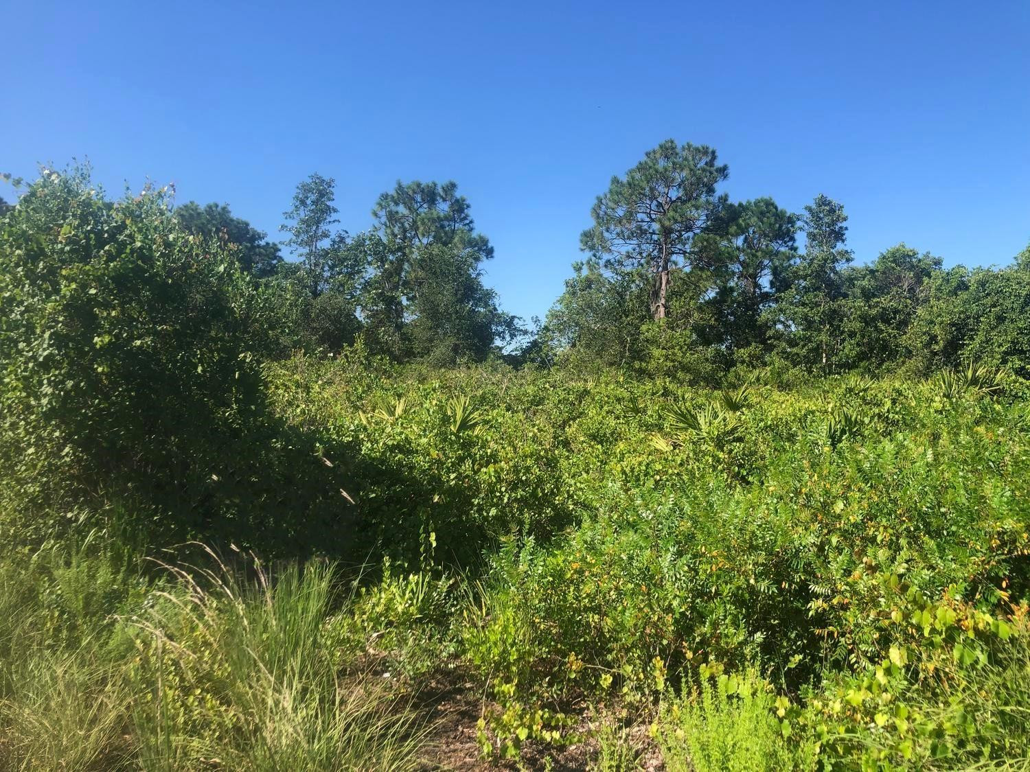 En Venta 153 Disney Boulevard, Avon Park, FL 33825, Avon Park, FL 33825