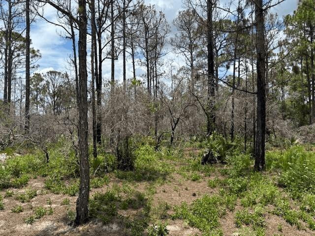 En Venta 0 Claverton Drive, Lake Placid, FL 33852, Lake Placid, FL 33852