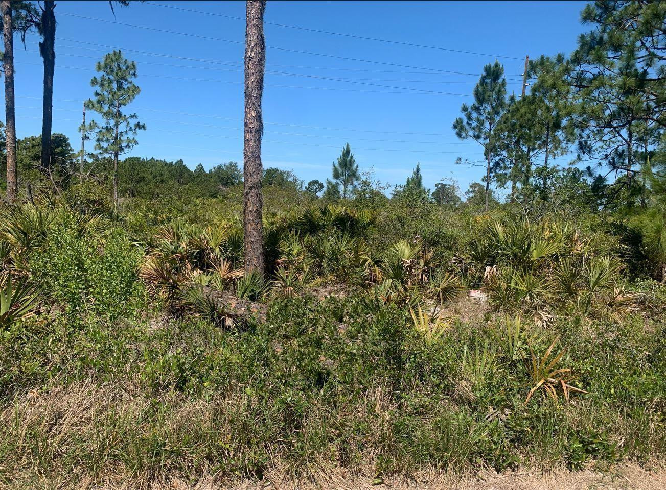 En Venta 329 Phesant Boulevard, Sebring, FL 33872, Sebring, FL 33872