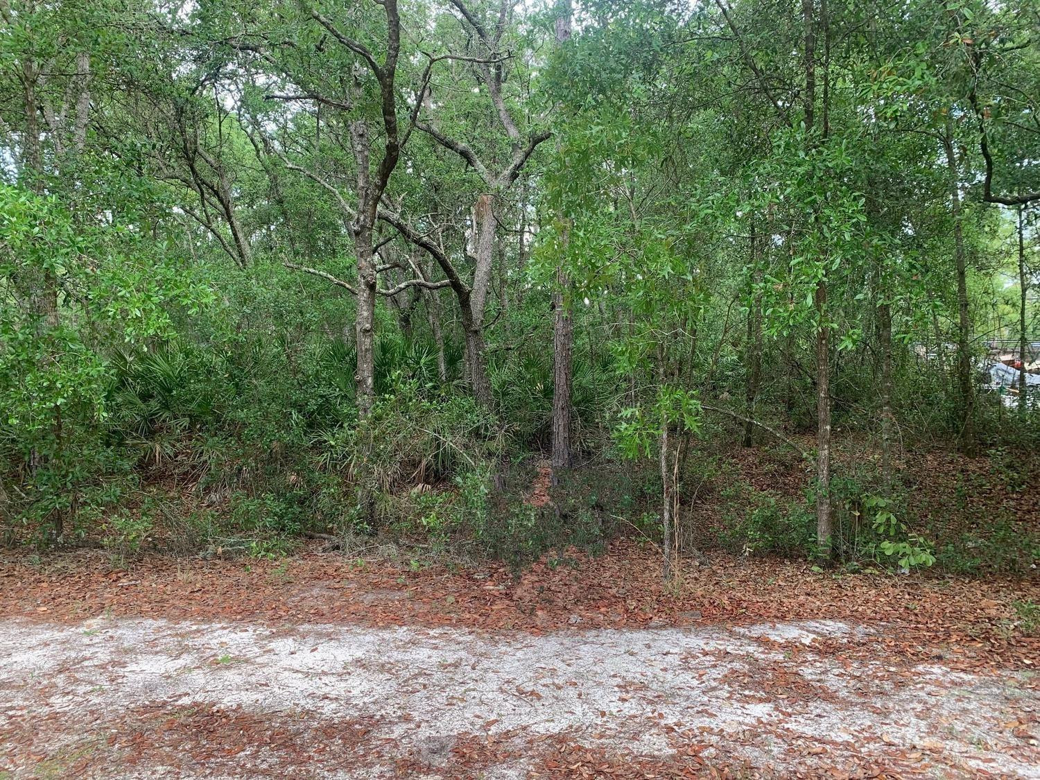 En Venta 209 Highline Trail, Satsuma, FL 32189, Satsuma, FL 32189