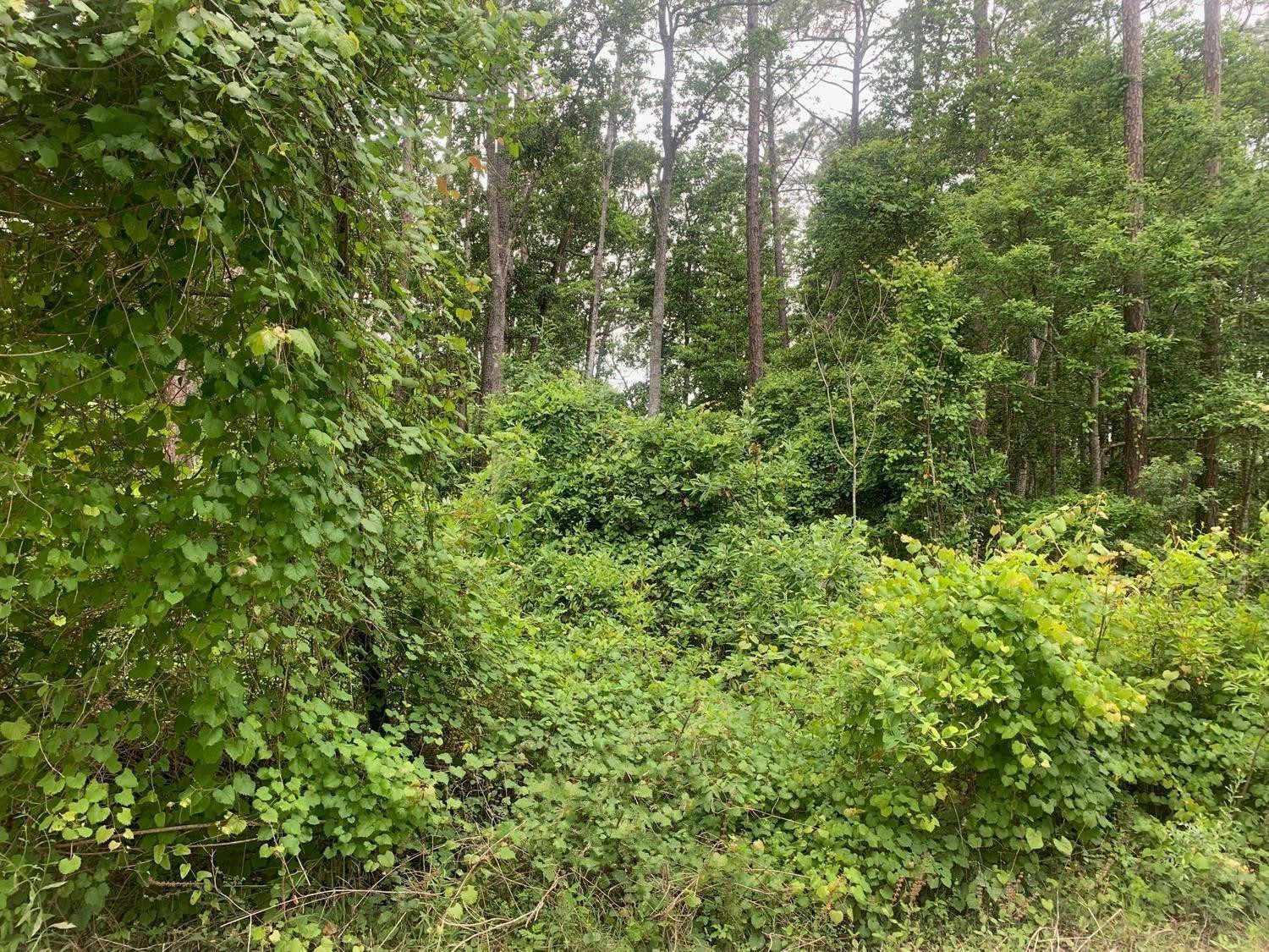 En Venta 123 Coot Road, Satsuma, FL 32189, Satsuma, FL 32189