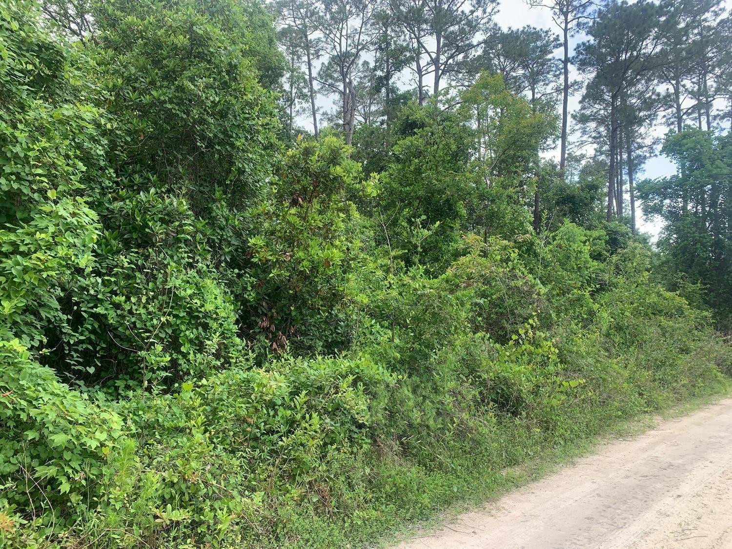 En Venta 0 Coot Drive, Satsuma, FL 32189, Satsuma, FL 32189