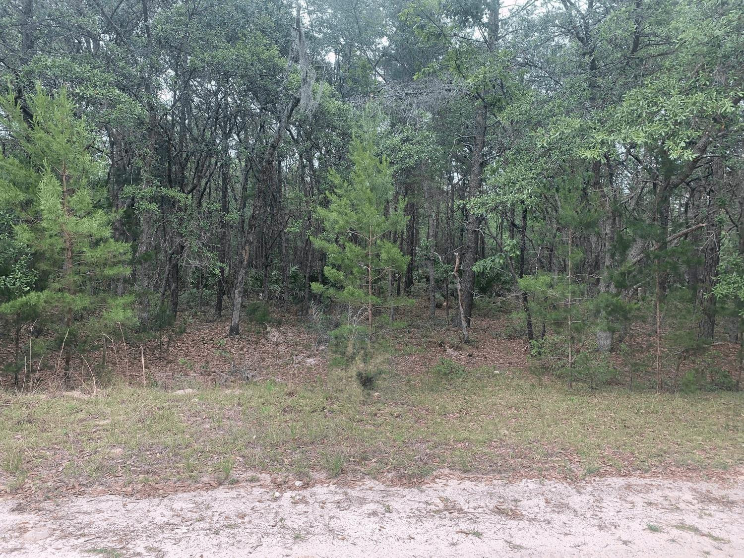Foto de propiedad en 0 Huron, Interlachen, FL 32148 Interlachen con MLS# 