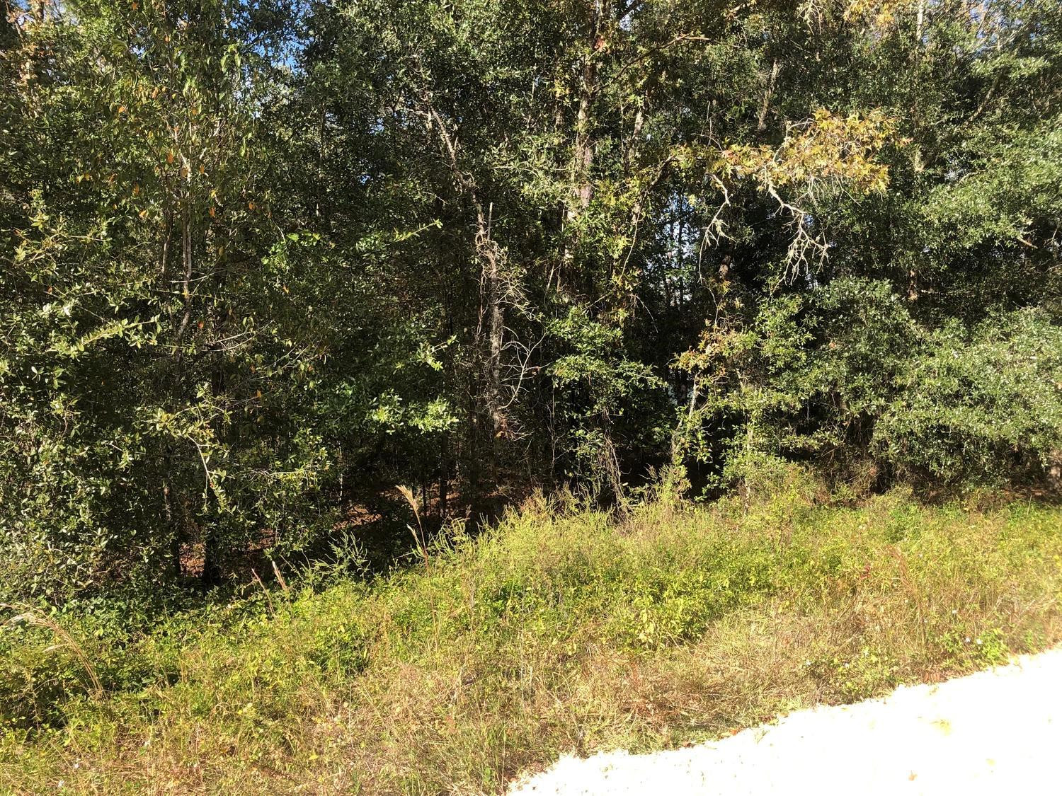 En Venta 0 Evans Avenue, Interlachen, FL 32148, Interlachen, FL 32148