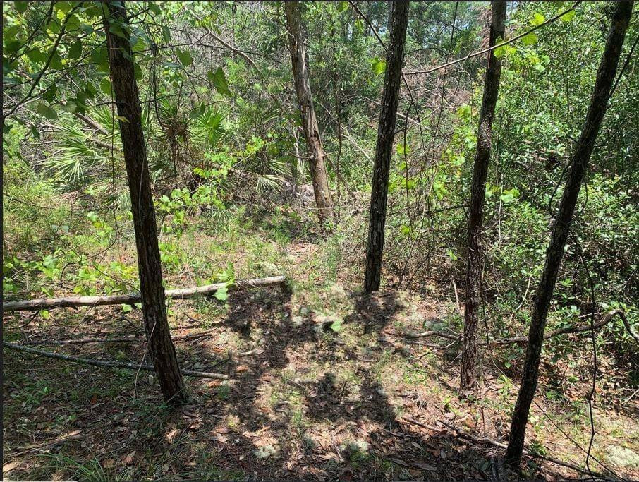 En Venta 213 Kansas Street, Satsuma, FL 32189, Satsuma, FL 32189