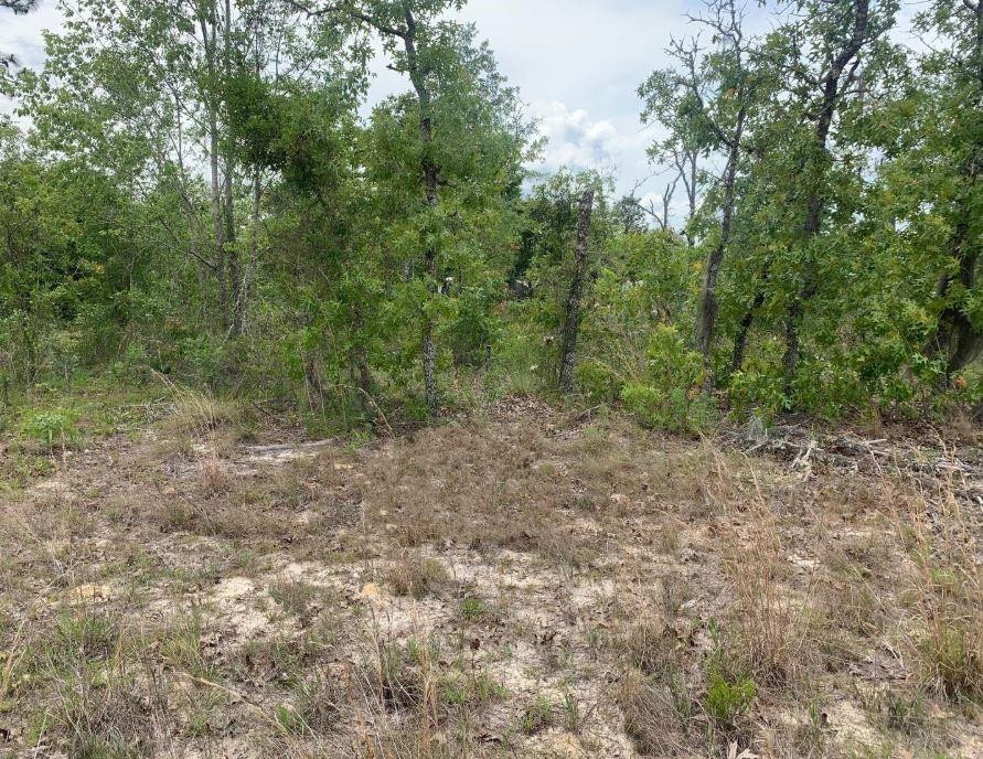 En Venta 0 Monroe Street, Interlachen, FL 32148, Interlachen, FL 32148