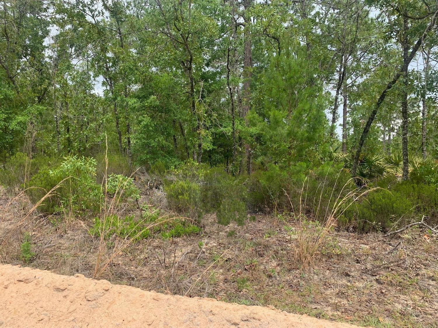 En Venta 0 Miami Street, Interlachen, FL 32148, Interlachen, FL 32148
