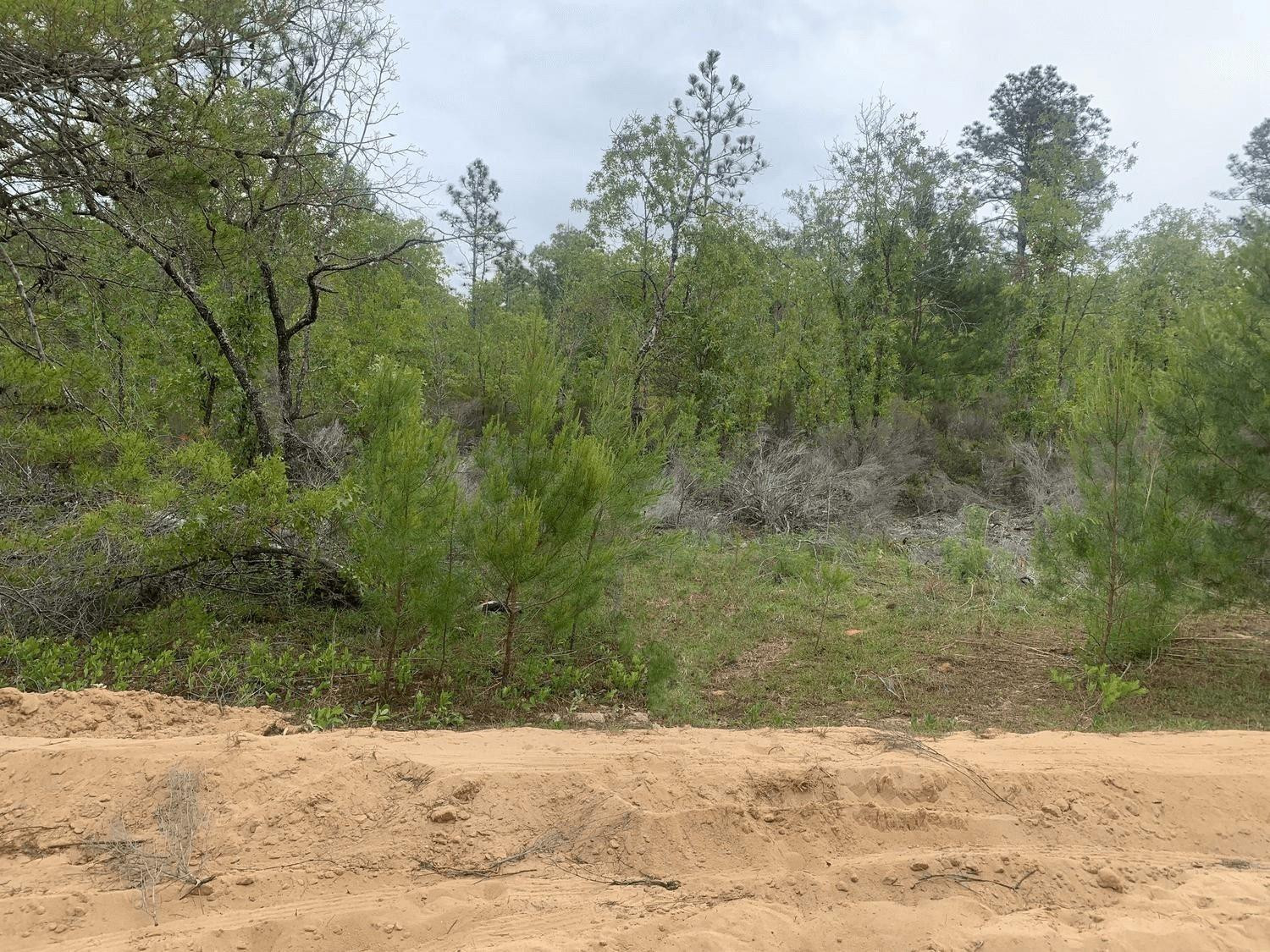En Venta 0 May Lane, Interlachen, FL 32148, Interlachen, FL 32148