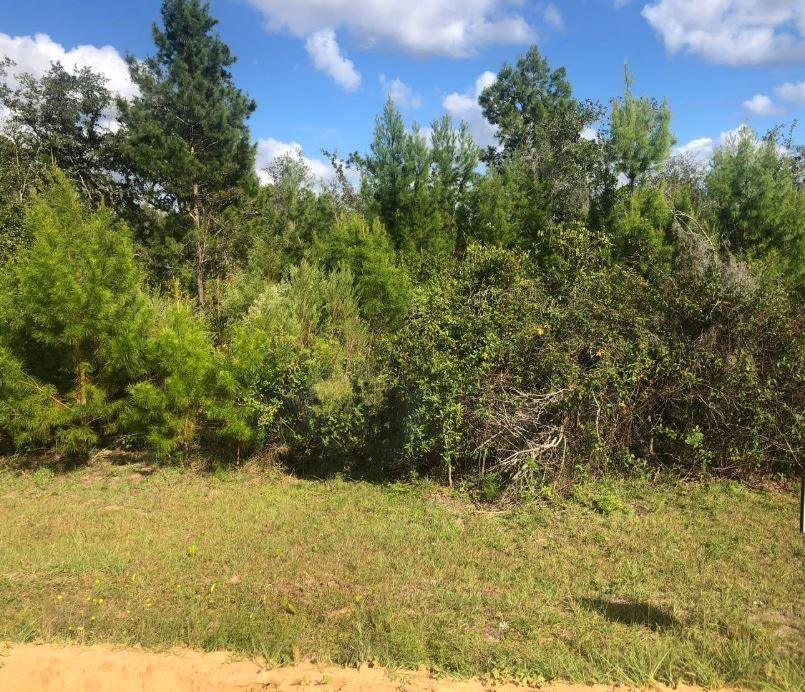 En Venta 204 Usina Avenue, Interlachen, FL 32148, Interlachen, FL 32148