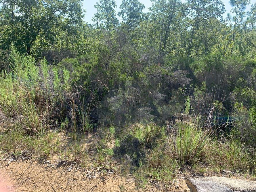 En Venta 0 Manatee Street, Interlachen, FL 32148, Interlachen, FL 32148