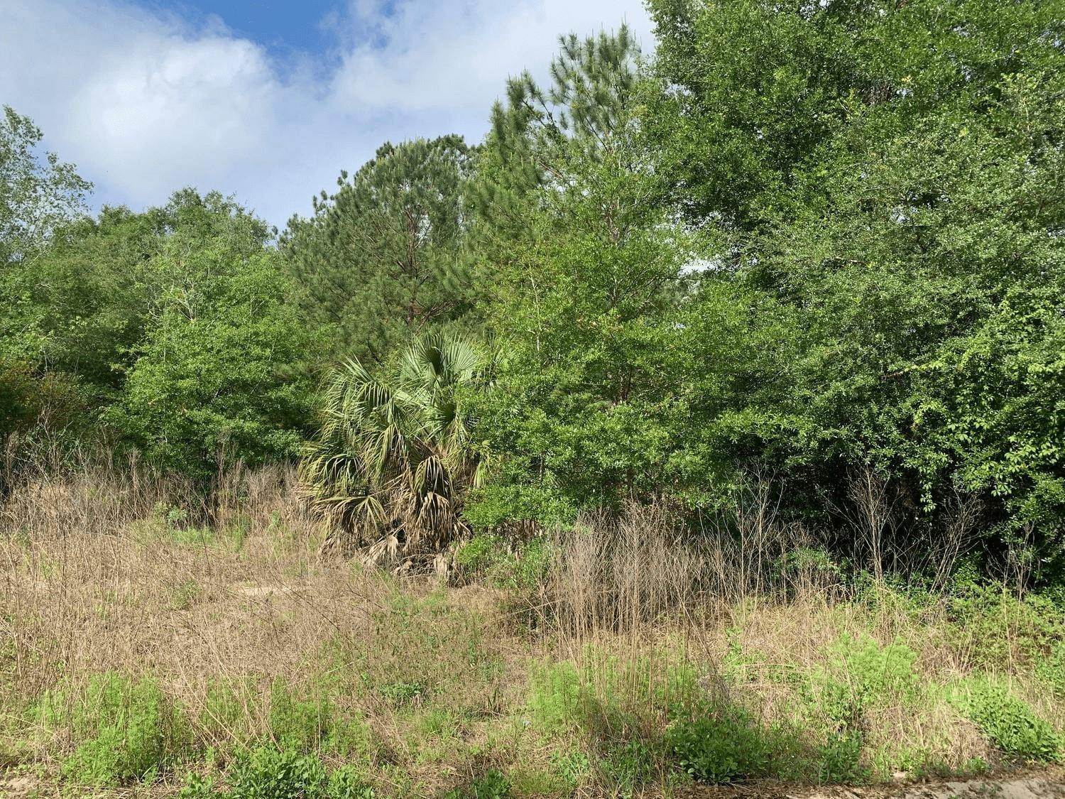En Venta 0 Douglas Drive, Interlachen, FL 32148, Interlachen, FL 32148