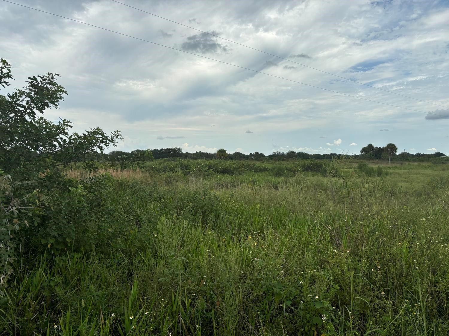Foto de propiedad en 29800 NW 192nd Avenue, Okeechobee, FL 34972 Okeechobee con MLS# 