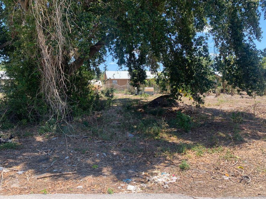 En Venta 30 E Metcalfe Street, Avon Park, FL 33825, Avon Park, FL 33825