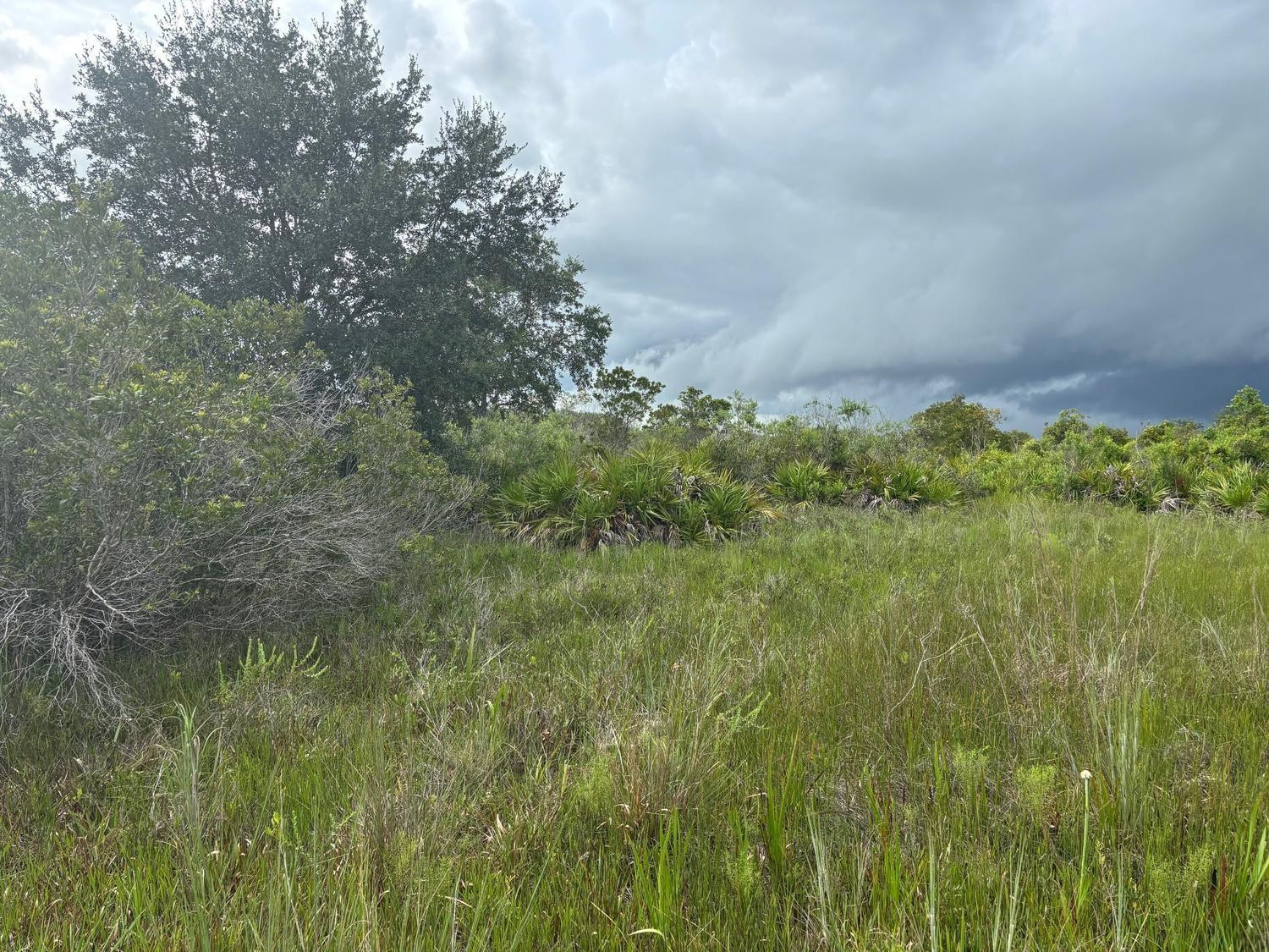 En Venta 0 NW 312th Street, Okeechobee, FL 34972, Okeechobee, FL 34972
