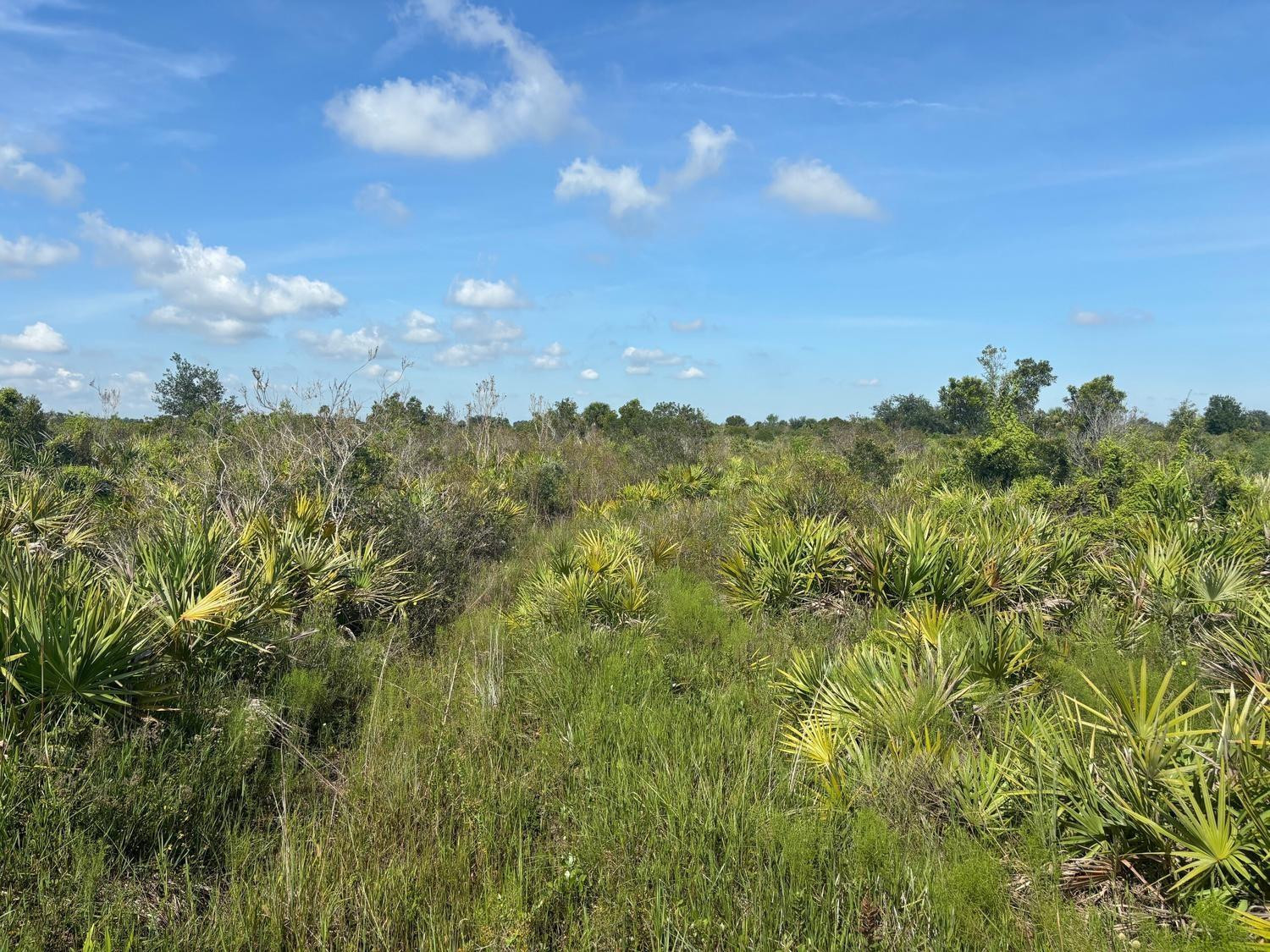 En Venta 0 NW 312th Street, Okeechobee, FL 34972, Okeechobee, FL 34972