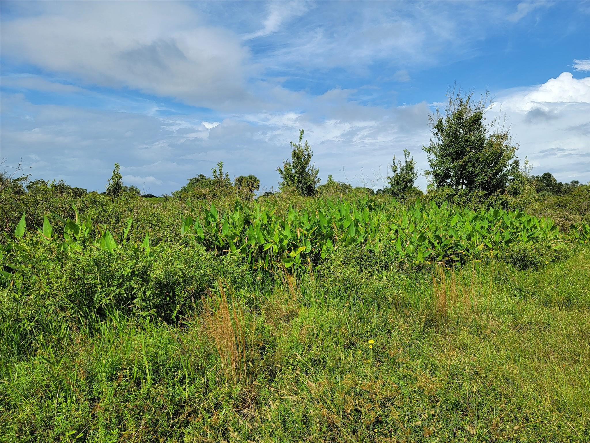 En Venta 17275 NW 260th Street, Okeechobee, FL 34972, Okeechobee, FL 34972
